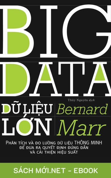 Tải ebook Big Data - Dữ Liệu Lớn PDF/MOBI/EPUB/AZW3
