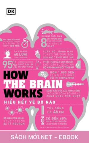 Tải ebook Hiểu Hết Về Bộ Não PDF/EPUB