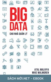 Tải ebook Big Data Cho Nhà Quản Lý PDF/MOBI/EPUB/AZW3