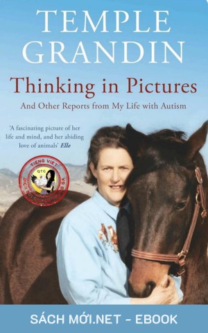 Suy Nghĩ Bằng Hình Ảnh PDF/EPUB/MOBI/AZW3