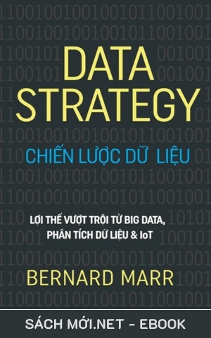 Tải ebook Data Strategy - Chiến Lược Dữ Liệu PDF/EPUB