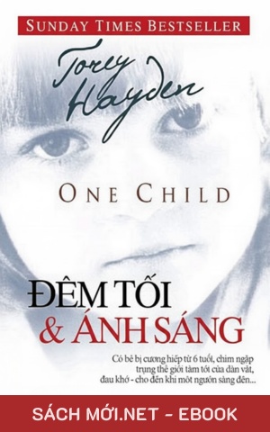 Tải ebook Đêm Tối Và Ánh Sáng PDF/EPUB